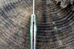 BIB'S EVO 1 loupe d'hetre teinté vert  N690 3mm, z20 (18)