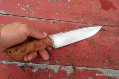 S-couteau droit 14C28N 4mm loupe de thuya (4)
