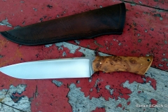 S-couteau droit 14C28N 4mm loupe de thuya (5)